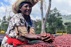 Ethiopia - Shantawene - Natural