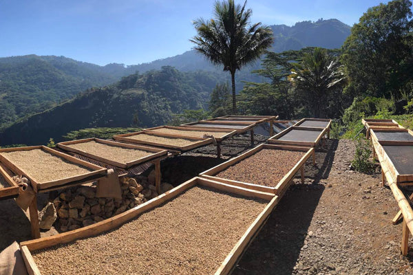 Timor-Leste – Parami – Natural